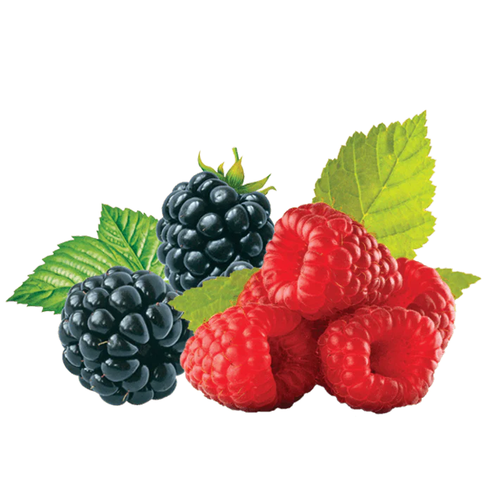 Le Preziose Jellies with Blackberry and Raspberry Juice, 7.05 oz | 200g - Image 2